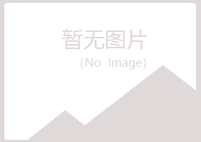 灵宝冰夏音乐有限公司